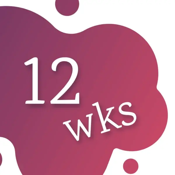 12 weeks countdown graphic design